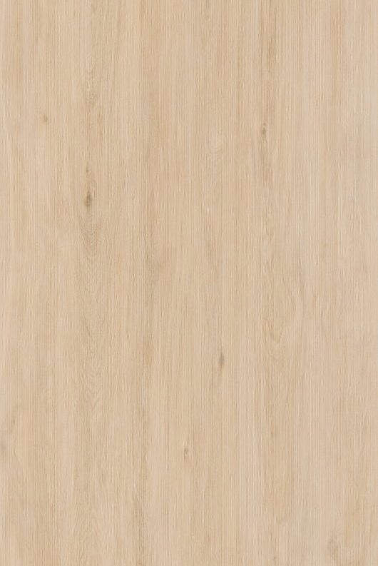2. Enoki - Нова страница-3