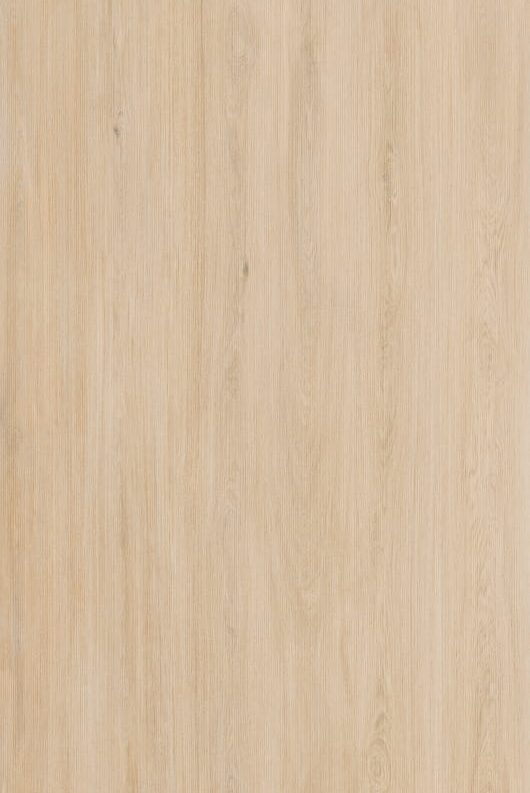 2.Enoki-KiNoBi