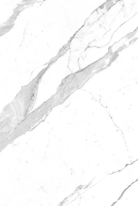 5.Bianco Statuario Venato Book Match-I Naturali